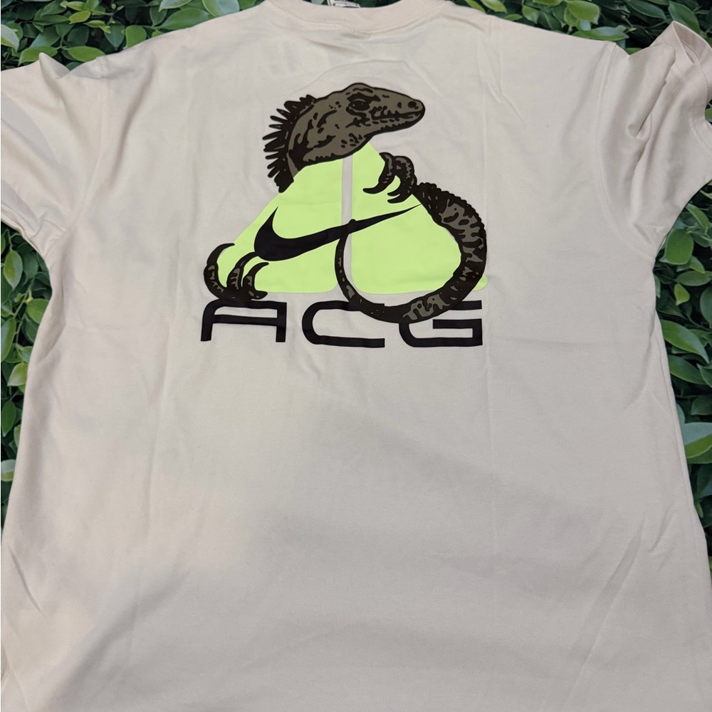 NIKE ACG DRI-FIT IGUANA DRI-FIT PHANTOM T-SHIRT  HJ0884-030 Men's Size M
